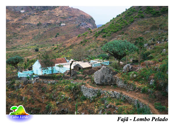Lombo Pelado