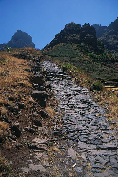 old mule track