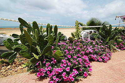 Cabo Verde Palace - Sal - Kap Verde - Cape Verde Islands