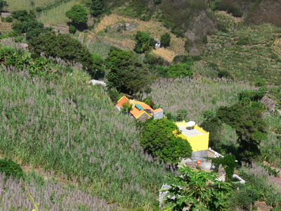 Casa das Ilhas - Pa�l - Santo Antao - Cabo Verde