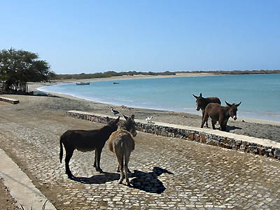 Calheta - a remote place on the beach