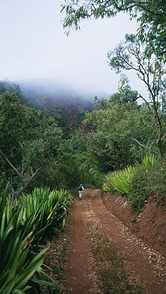 Chã de Monte Gordo