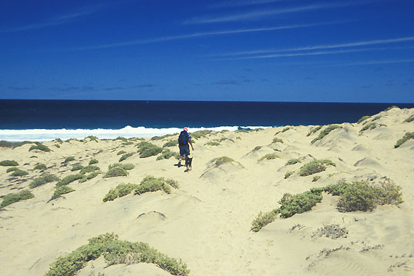 Selada da Baleia Sao Vicente Cabo Verde