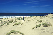 Zwischen Rª de Feijoal Preto und Praia Grande de Calhau